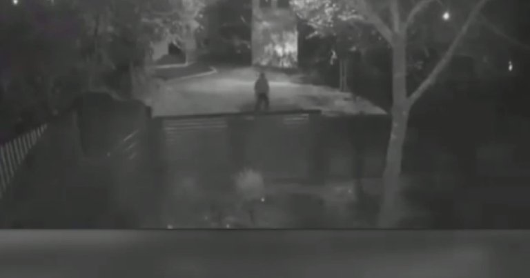 Serioase Abateri Dezvăluite în Ancheta Femeii Ucise de Partener în Teleorman: Procurorul Responsabil Investigat Disciplinar