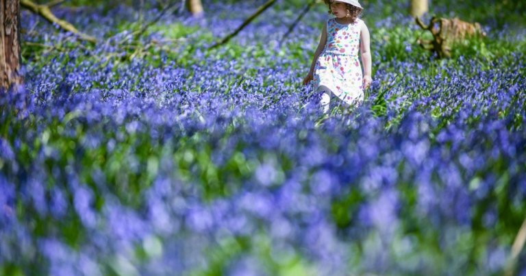 Prognoza climatică pentru următoarele 4 săptămâni: temperaturi mai ridicate decât normal, declară specialiștii în meteorologie.