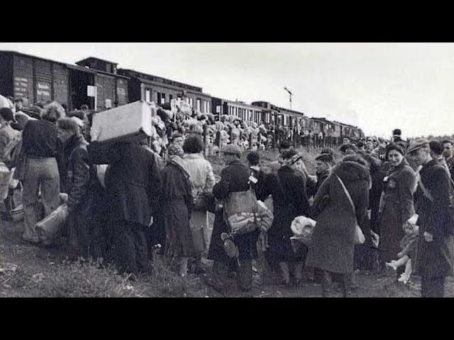Harta exilurilor staliniste din Basarabia creată cu sprijinul AI: „Bunicii și membrii familiei au fost descoperiți pe platformă”