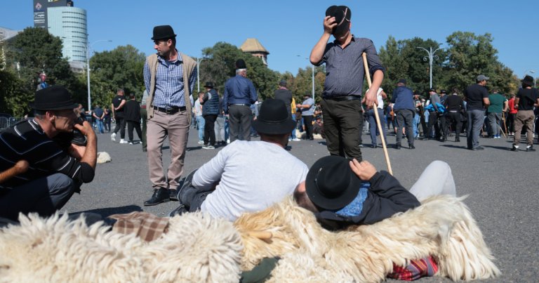 Protest al miilor de fermieri de ovine în Capitală; jandarmii utilizează gaze lacrimogene în urma incidentului de la ANSVSA.